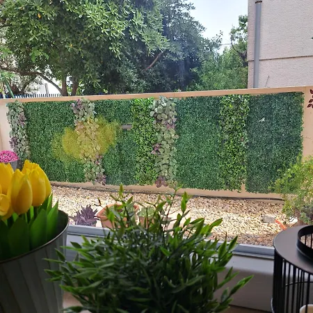 Apartment Villa Vala
